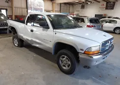 1B7GG22N2YS791369: 43679512