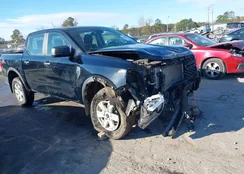 1FTER4PH9RLE11536: 43681781