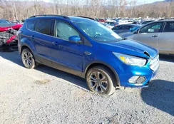 1FMCU9GD9JUA52876: 43685108