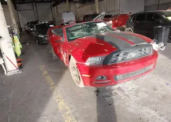 1ZVBP8EM7D5250033: 43685256