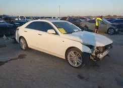 1G6DB5RK3P0137962: 43684753