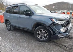 5FNYF8H69PB020994: 43684999