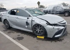 4T1S31AKXMU555165: 43686688