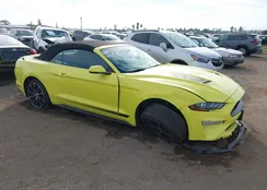 1FATP8UHXM5116294: 43686738