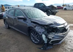 2HGFC1F71LH681346: 43687787