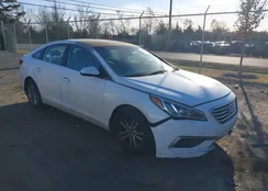 5NPE24AF9GH379331: 43690794