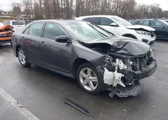 4T1BF1FK6EU865251: 43692232