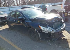 1N4AL3AP3JC166561: 43694614