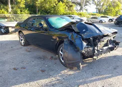 2C3CDZBT3FH767699: 43697823