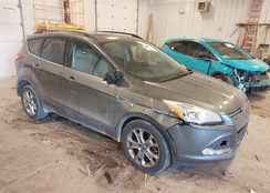 1FMCU0GX9EUA16701: 43709278