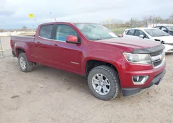 1GCGTCEN4K1127231: 43709368