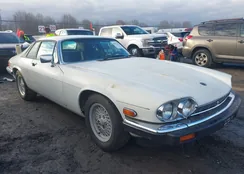 SAJNA5845KC150289: 43711910