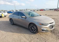 1G1ZD5ST2PF244586: 43715217