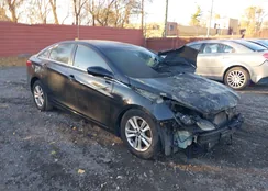 5NPEB4AC4BH233787: 43716550