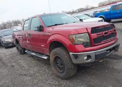 1FTFW1ET6DKG43786: 43717036