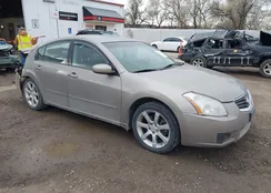 1N4BA41E28C802489: 43720644