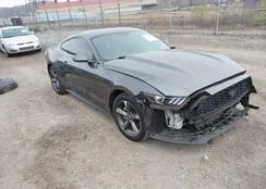 1FA6P8AM5G5298716: 43721970