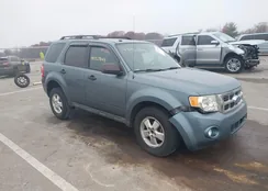 1FMCU0D74CKB65157: 43725343