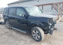 5FNYF4H50DB054463: 43724640