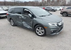 5FNRL6H53JB055854: 43725814