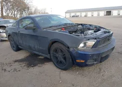 1ZVBP8AM8C5283627: 43729148