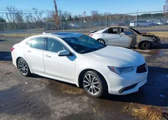 19UUB2F57JA010645: 43729348