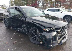 7MMVAADWXSN101642: 43729404