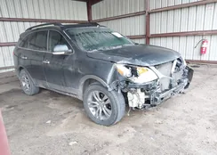 KM8NU4CC3CU199951: 43729864