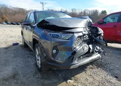 JTMDWRFV7LD548064: 43731007