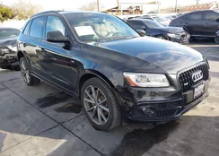 WA1DMAFP1FA123772: 43736441