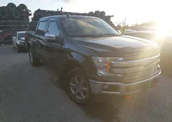 1FTEW1E52KFD08110: 43738156