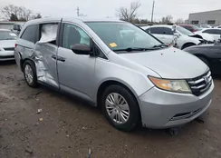 5FNRL5H22FB021430: 43741377