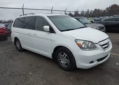 5FNRL38706B420076: 43742652