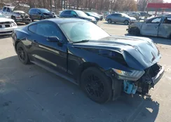 1FA6P8AM8G5265581: 43742745