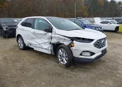 2FMPK4K91MBA20995: 43743971