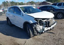 JTMBFREV4JJ235948: 43747249