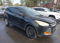 1FMCU0F75DUA80086: 43747709