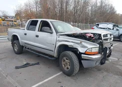 1B7FL23X3PS219992: 43748811