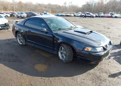 1FAFP42X12F222043: 43750613