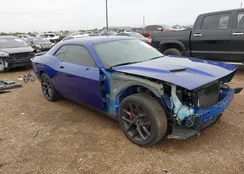 2C3CDZAG7NH151636: 43749763