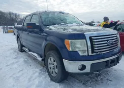 1FTFW1EF1BFC01837: 43750655