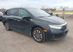 5FNRL6H64RB036556: 43753249