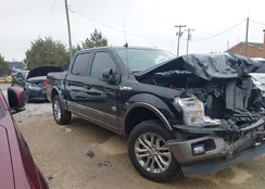 1FTEW1E47KFC77251: 43754042