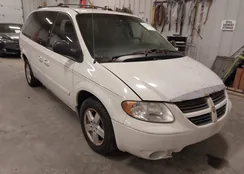 2D4GP44L36R664283: 43754049