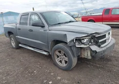 1D7HE38K09S792928: 43754853