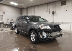 1FM5K8DH2GGC96795: 43754931