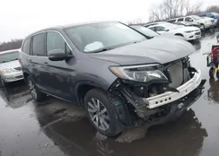 5FNYF6H39KB098064: 43756323