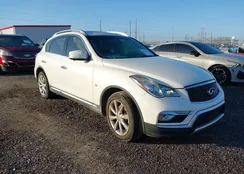 JN1BJ0RP7HM388339: 43757231