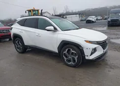 KM8JECA15NU033425: 43757516