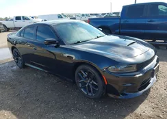 2C3CDXHGXPH516596: 43761579